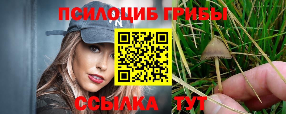 Галлюциногенные грибы мухоморы  Галлюциногенные грибы прущие грибы  Нововоронеж  Вход с VPN 